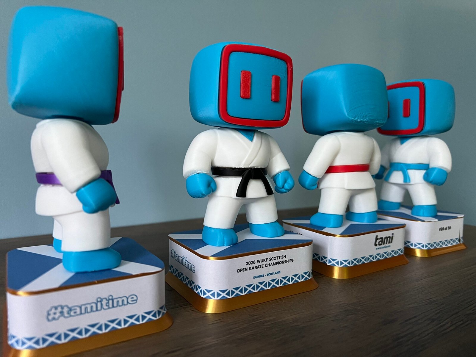 tami Tournament Prototype - Image 3