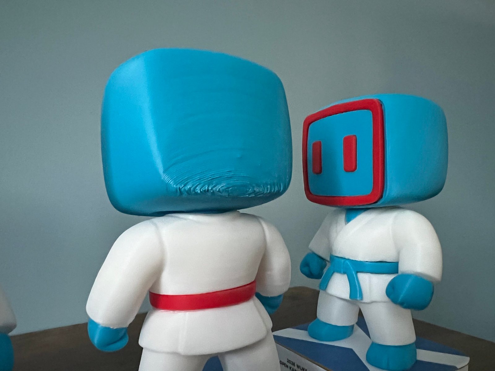tami Tournament Prototype - Image 4
