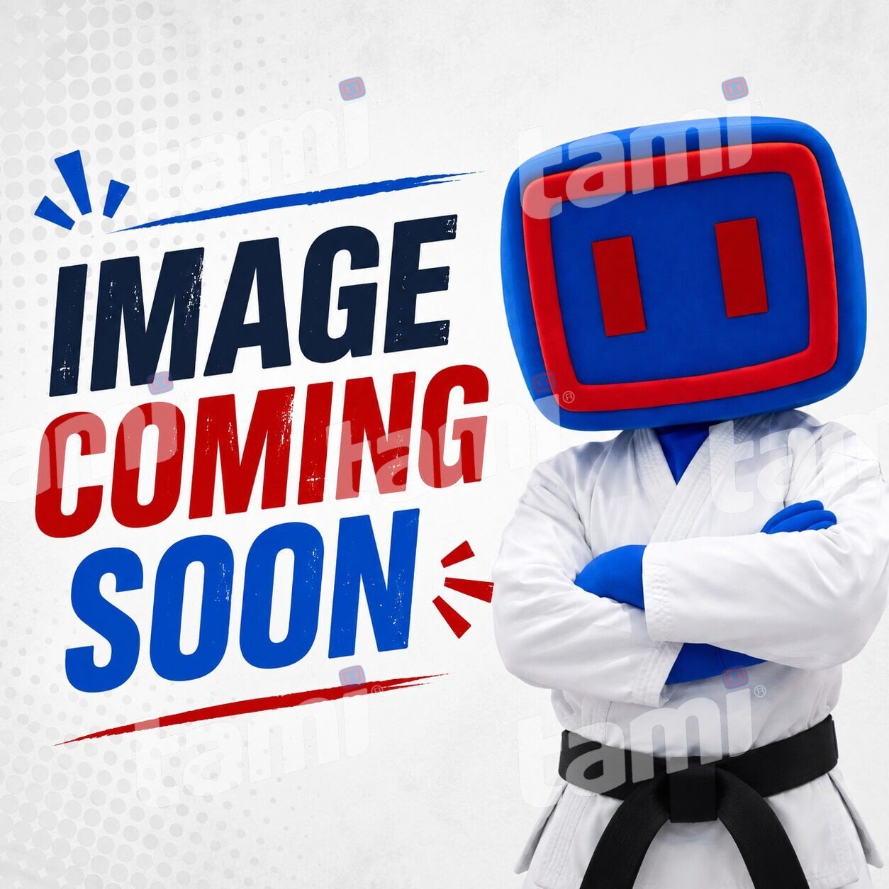 Latest approved gallery photograph